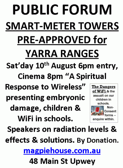 SmartMeterTowersAug13